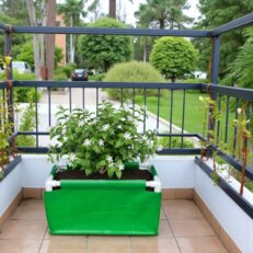 HDPE Rectangular Grow Bag 24"x12"x09" | 340GSM