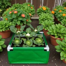 HDPE Square Grow Bag 24"x24"x09" | 340GSM