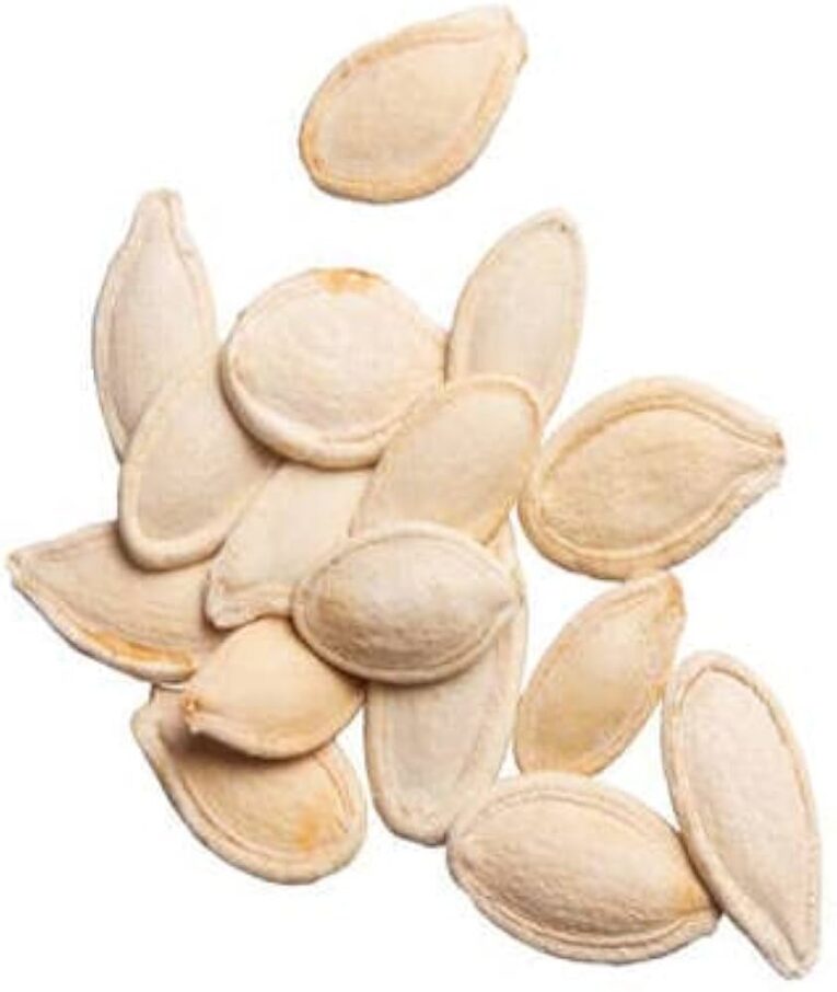 vegetable seeds for home gardening