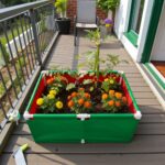 UV treated rectangular grow bags 220gsm