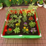 HDPE grow bags for terrace gardening India