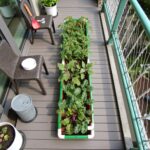 HDPE grow bags for home gardening