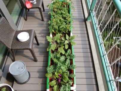 HDPE Rectangular Grow Bag 48"x12"x12" | 220GSM