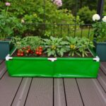 Premium HDPE grow bags India