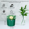 gardening grow bags