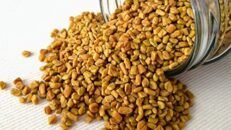 Native Seeds