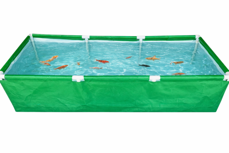 bag for growing fishes