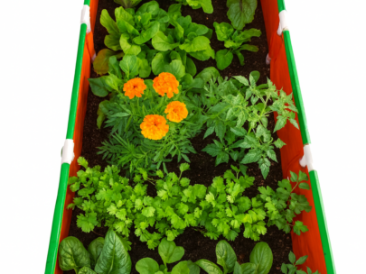 HDPE Rectangular Grow Bag 60"x24"x12" | 220GSM