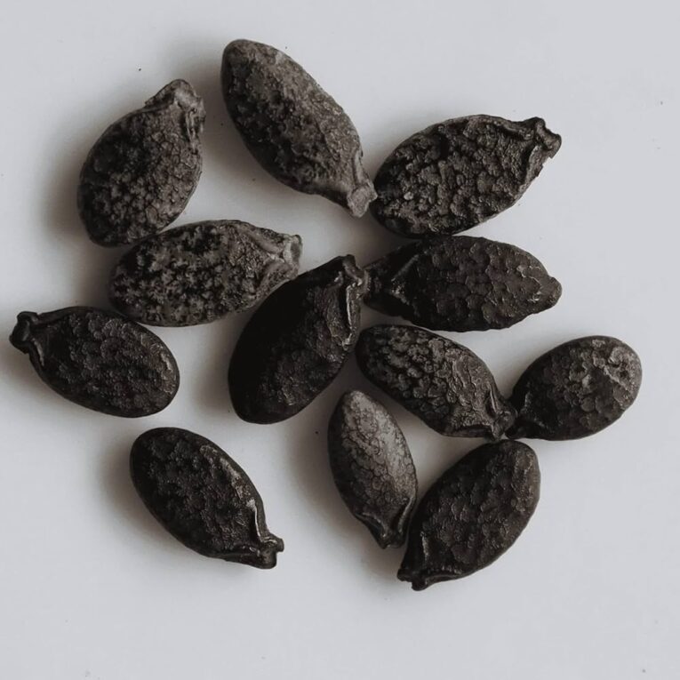 ridge gourd seeds for terrace gardening