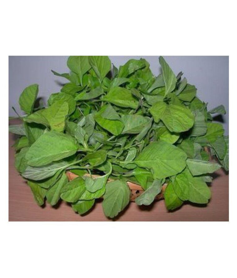 Indian spinach seeds