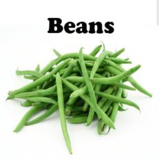 Beans Seeds
