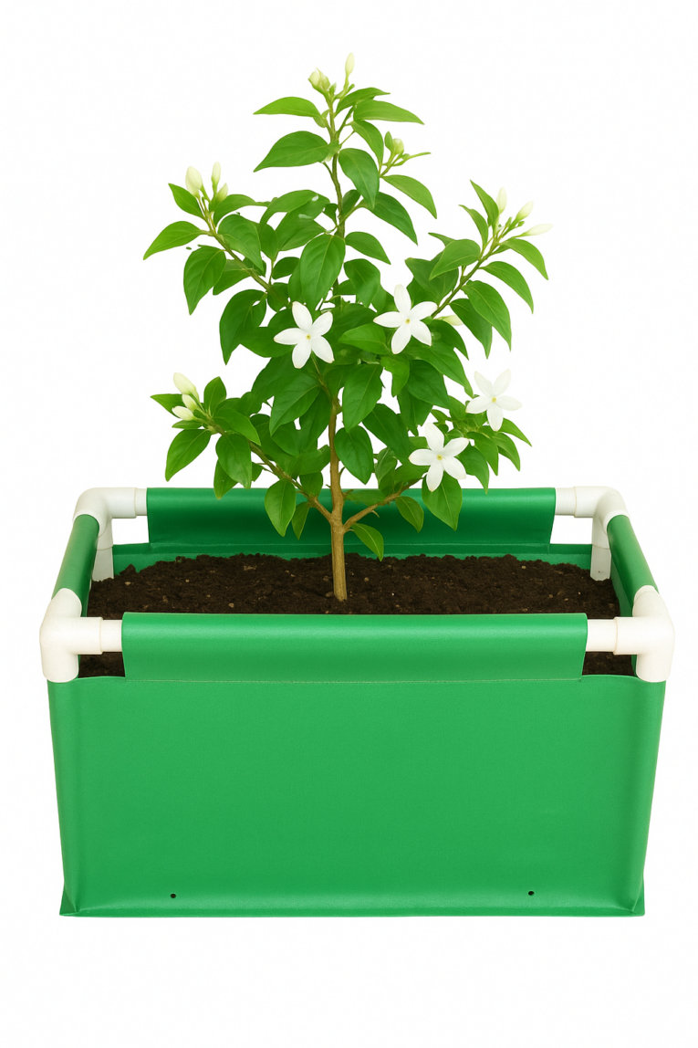 Rectangular grow bags for tomatoes and chili