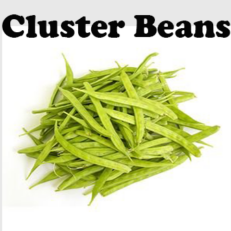 Cluster Beans Seeds
