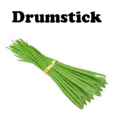 Drumstick Seeds (Pot)