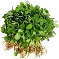 Methi Seeds (Fenugreek)