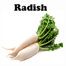 Radish Seeds