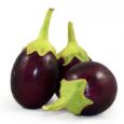 brinjal seeds for home garden