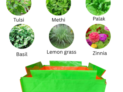 HDPE Square Grow Bag 24"x24"x06" | 220GSM