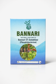 Phosphobacteria Bio Fertilizer – Natural Phosphorus Booster for Strong Plant Growth