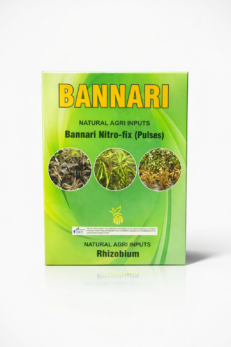 Rhizobium Biofertilizer – Natural Nitrogen Booster for Legume Crops