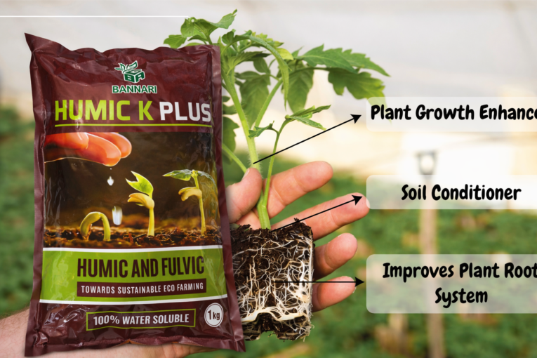 vegetable plant booster