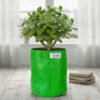 06x06 grow bags