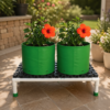 Vegetable gardening stand