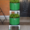 Plant display stand