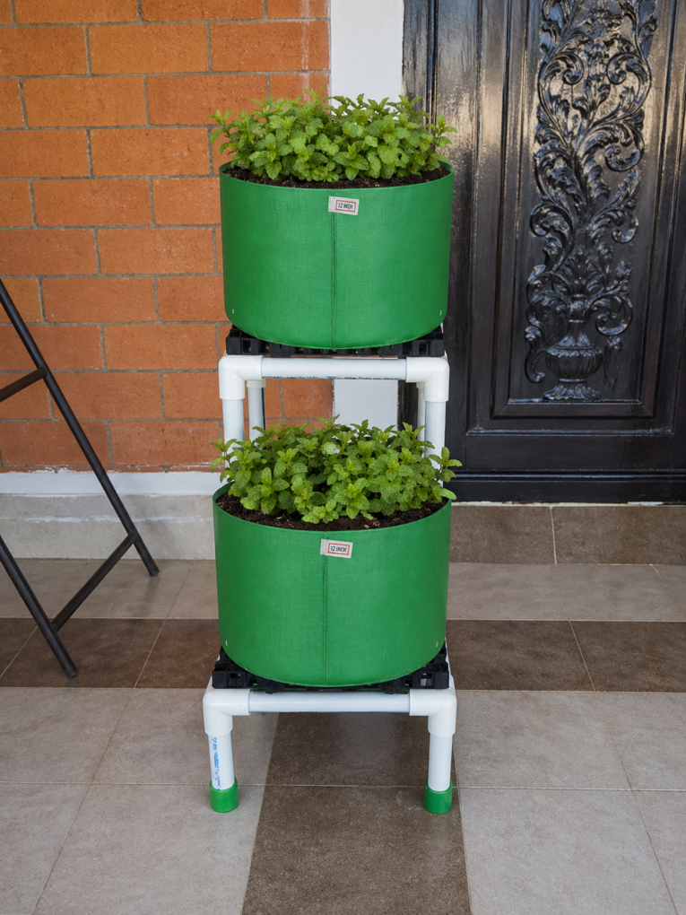 Plant display stand