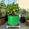 big grow bag stands