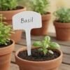 plant tags