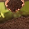 cocopeat loose