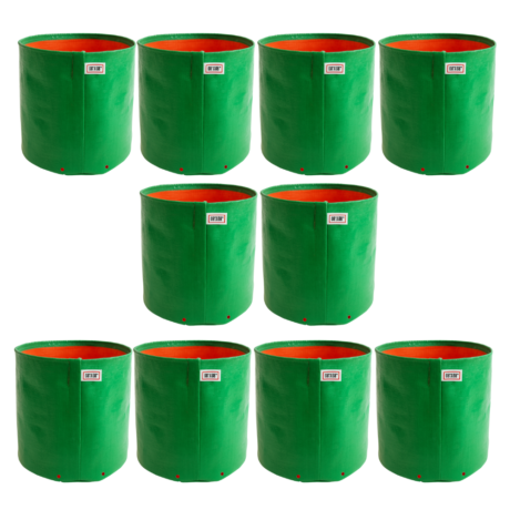 HDPE Grow Bag 08x08 (220GSM) Pack Of 10