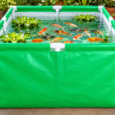 fish pond