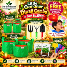 Little Gardener Diwali Combo