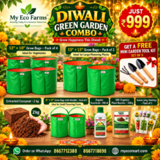 Diwali Green Garden Combo