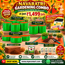 Navaratri Gardening Combo– Complete Garden Kit