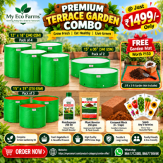 Premium Terrace Garden Combo for Diwali