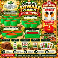 Ultimate Gardening Combo for Diwali